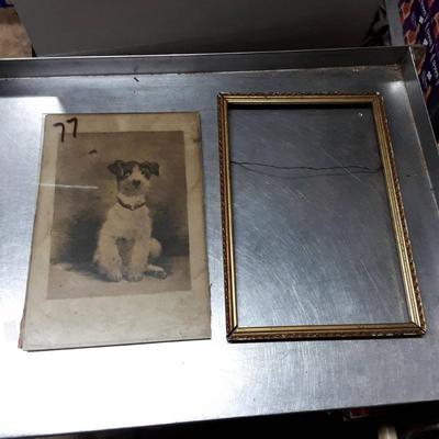 Sale Photo Thumbnail #447