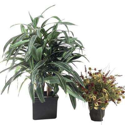 Sale Photo Thumbnail #565