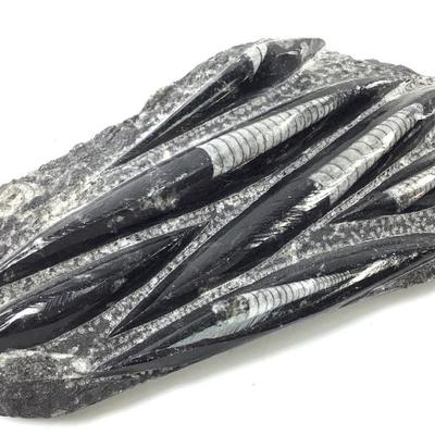 Sale Photo Thumbnail #43