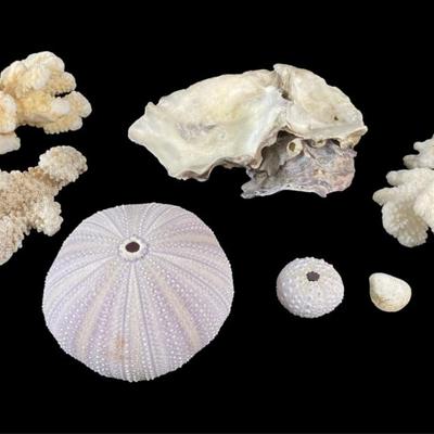 Sale Photo Thumbnail #784