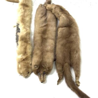 Sale Photo Thumbnail #779