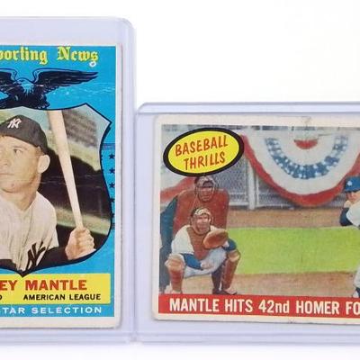 Sale Photo Thumbnail #931