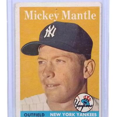 Sale Photo Thumbnail #885