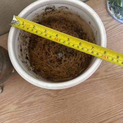 Sale Photo Thumbnail #1182