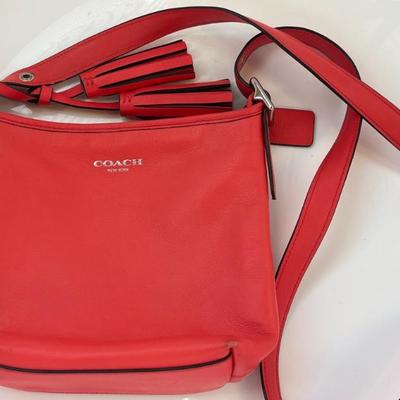 Sale Photo Thumbnail #234: Watermelon Coach Crossover