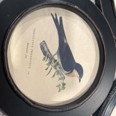 Sale Photo Thumbnail #1042