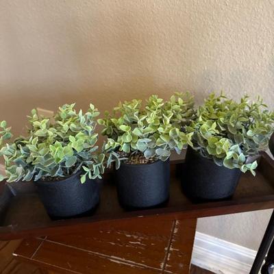 Sale Photo Thumbnail #294