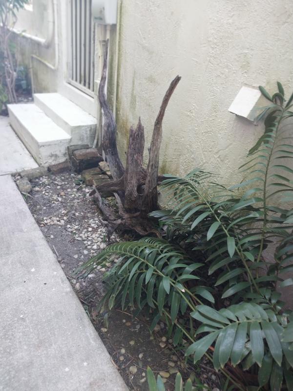 Sale Photo Thumbnail #68