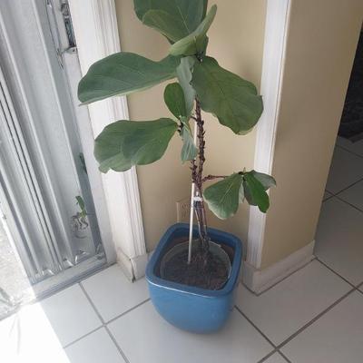 Sale Photo Thumbnail #31