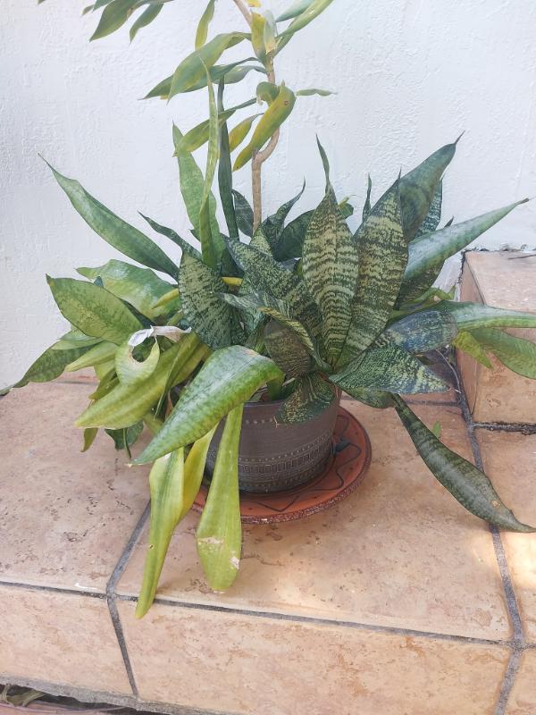 Sale Photo Thumbnail #71