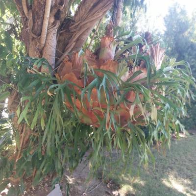 Sale Photo Thumbnail #46