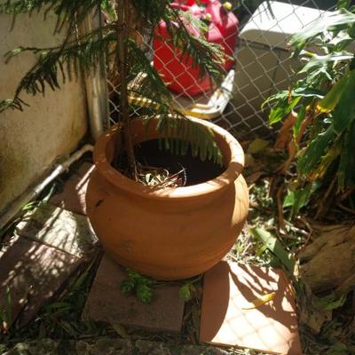 Sale Photo Thumbnail #49