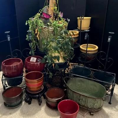Live Plants with Decorative Planters and Metal Plant Stands