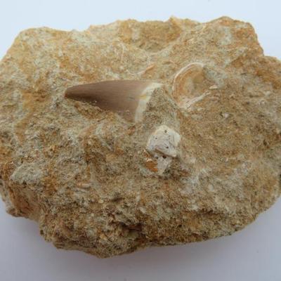 Sale Photo Thumbnail #205