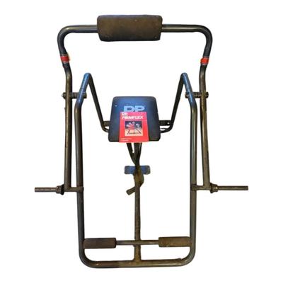 FirmFlex Ab & Back Workout Machine