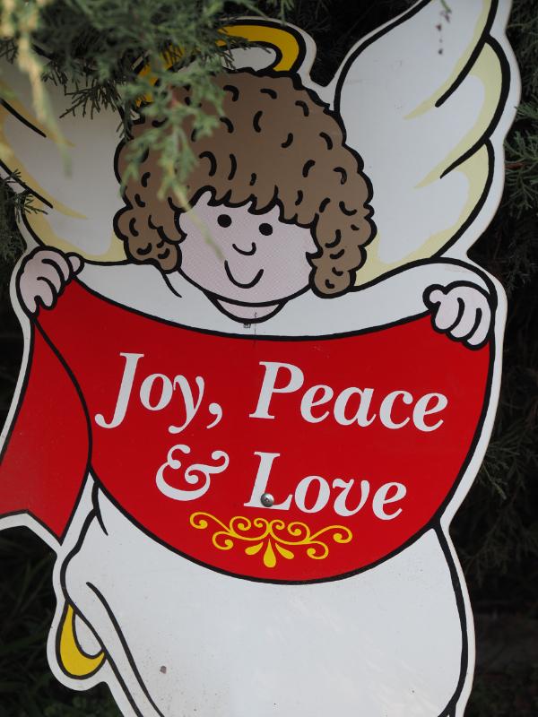 Sale Photo Thumbnail #270