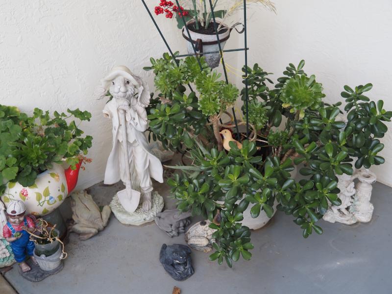 Sale Photo Thumbnail #276