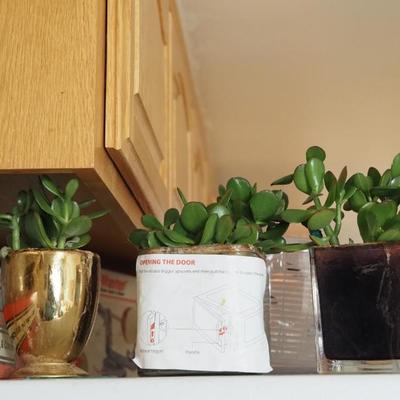 Sale Photo Thumbnail #30