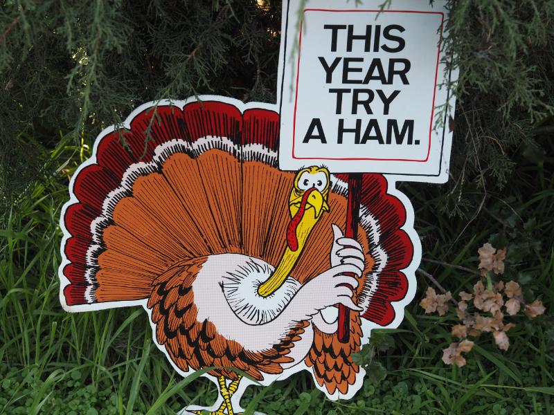 Sale Photo Thumbnail #271