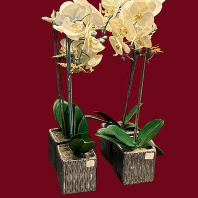 Sale Photo Thumbnail #102