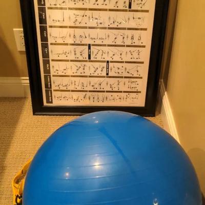 TRX Suspension Training System