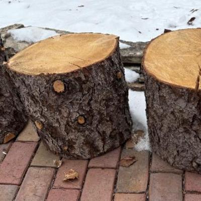 Sale Photo Thumbnail #148