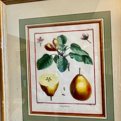 Sale Photo Thumbnail #96: Pair of original 19th C French pear prints