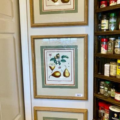 Sale Photo Thumbnail #118: More antique French pear prints!