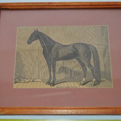 Sale Photo Thumbnail #323