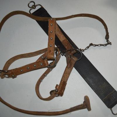 Sale Photo Thumbnail #393