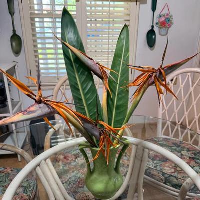 Sale Photo Thumbnail #58