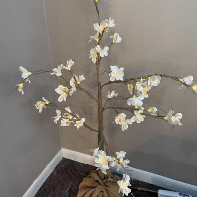 Sale Photo Thumbnail #56