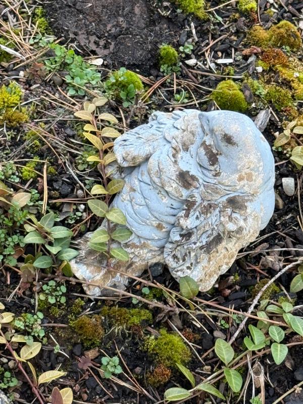 Sale Photo Thumbnail #389