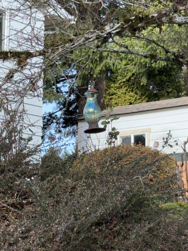 Sale Photo Thumbnail #370