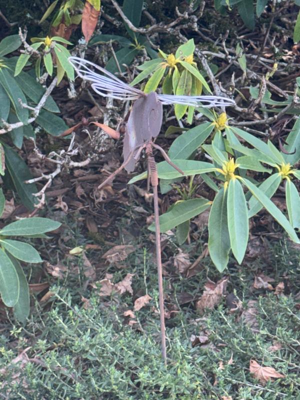 Sale Photo Thumbnail #372