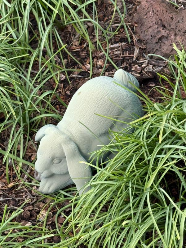 Sale Photo Thumbnail #386