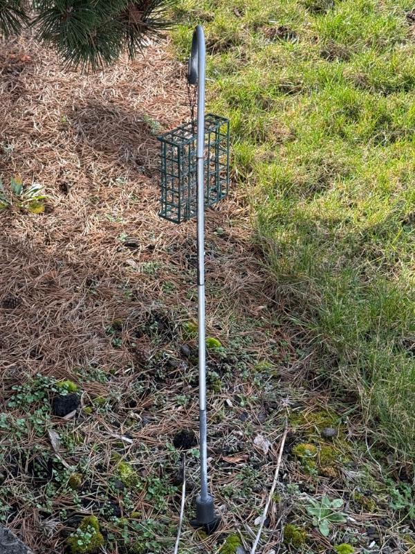 Sale Photo Thumbnail #390