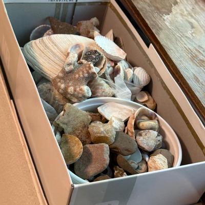 Sale Photo Thumbnail #272