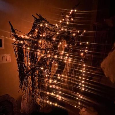 Sale Photo Thumbnail #95: $32 black "tree" with lights