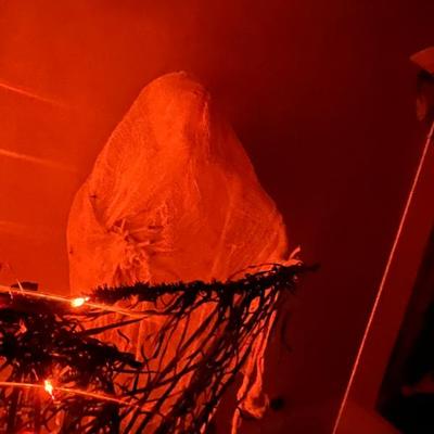 Sale Photo Thumbnail #96