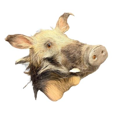 Sale Photo Thumbnail #163