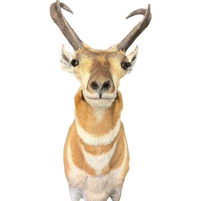 Sale Photo Thumbnail #164