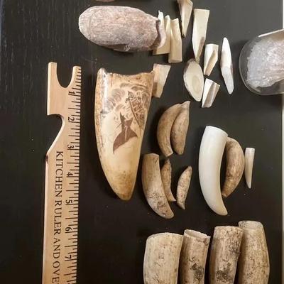 Scrimshaw Sperm Whale Tooth, Assorted Sperm Whale Teeth/bones
