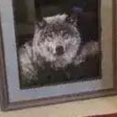 3 Large Framed Outdoor Prints