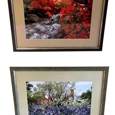 Harry Bowden “Relics and Wildflowers” and “Maples/Orange/Rocks” Framed Photography