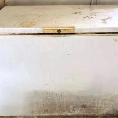 Frigidaire Deep Freezer