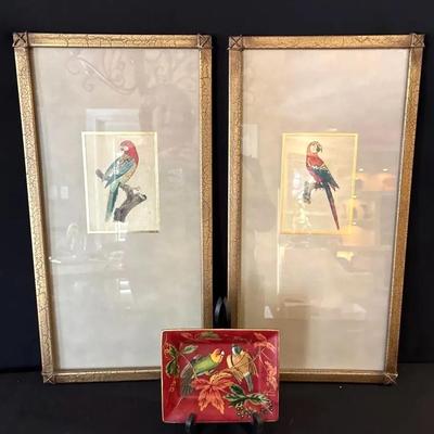 Two Framed Mini Parrots Prints And A Small Decorative Tray