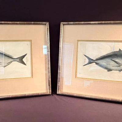 Japanese Fish Prints 