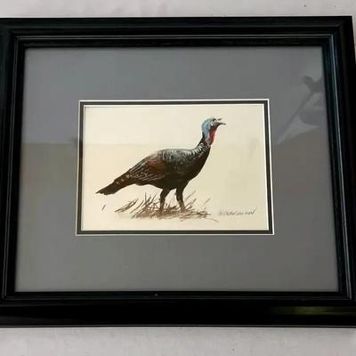 Original John Dearman painting “ study of turkey. “
