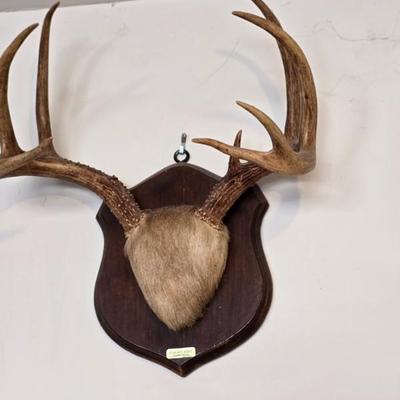 Sale Photo Thumbnail #202